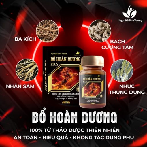 Viên Uống Bổ Hoàn Dương Plus X2 Chính Hãng