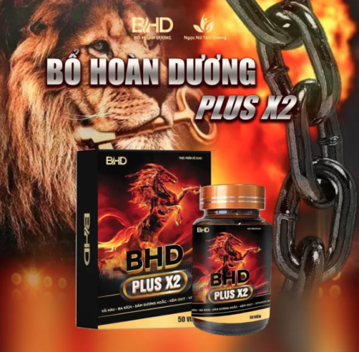 Viên Uống Bổ Hoàn Dương Plus X2 Chính Hãng