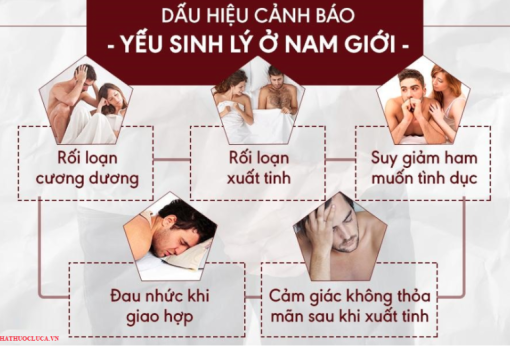 Sìn Sú Adam Chính Hãng