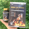Hoàn Lực Dương Chính Hãng