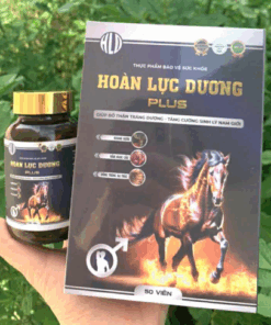 Hoàn Lực Dương Chính Hãng