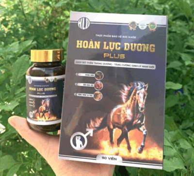 Hoàn Lực Dương Chính Hãng