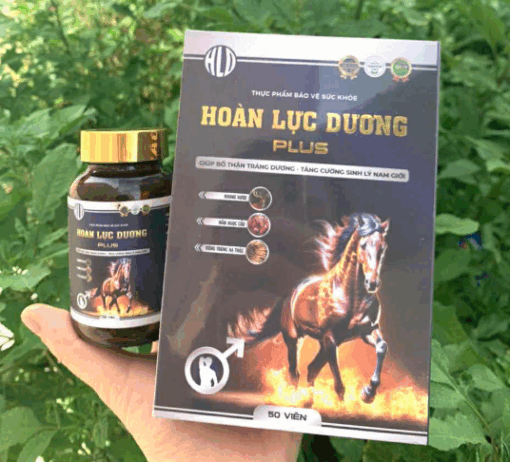 Hoàn Lực Dương Chính Hãng